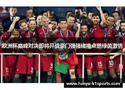 欧洲杯巅峰对决即将开战豪门强强碰撞点燃绿茵激情