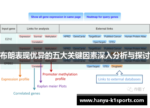 布朗表现优异的五大关键因素深入分析与探讨