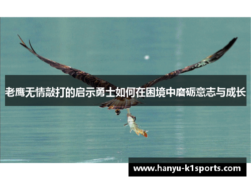 老鹰无情敲打的启示勇士如何在困境中磨砺意志与成长 老鹰无情敲打的启示勇士如何在困境中磨砺意志与成长